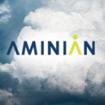 Aminian Business Services