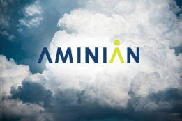 Aminian Business Services