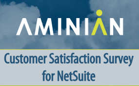 Aminian Smart Order Entry for NetSuite